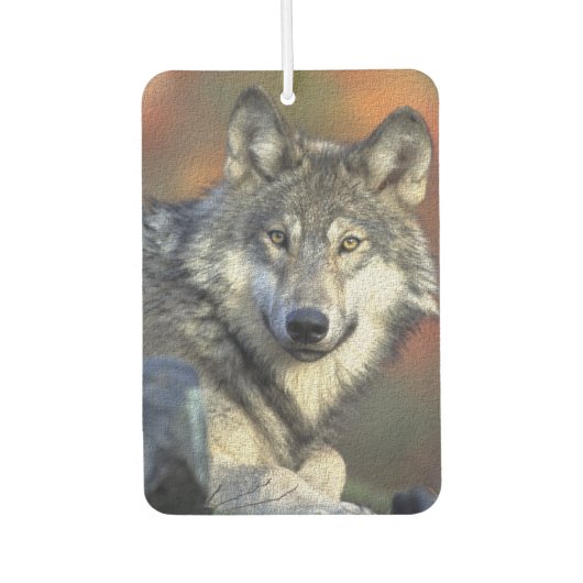 Désodorisant Pour Voiture Loup (Devant)