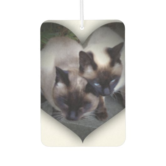 Désodorisant Pour Voiture Lovely siamese エアーフレッシュナー