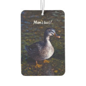 Désodorisant Pour Voiture Mallard Duck Freshener (Dos)