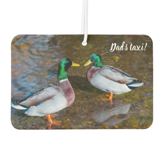Désodorisant Pour Voiture Mallard Ducks Air Freshener (Dos)