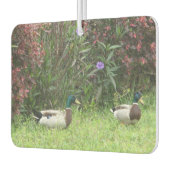 Désodorisant Pour Voiture Mallard Ducks Homme (Gauche)