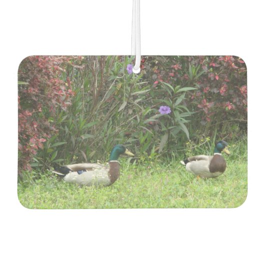 Désodorisant Pour Voiture Mallard Ducks Homme (Devant)