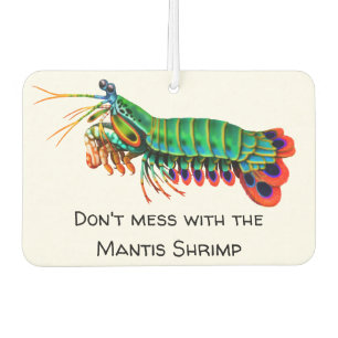 Désodorisant Pour Voiture Mantis Crevettes Aquarium Aquarium Aquarium Air Fr