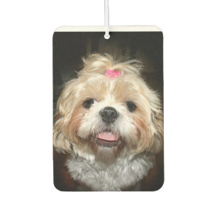 Désodorisant Pour Voiture Mare visage Shih Tzu