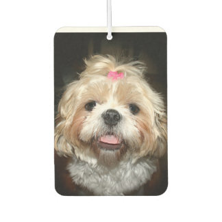 Désodorisant Pour Voiture Mare visage Shih Tzu