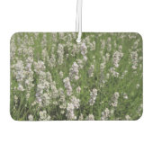 Désodorisant Pour Voiture Melissa Lavender (Dos)