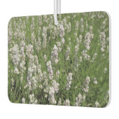 Désodorisant Pour Voiture Melissa Lavender (Gauche)