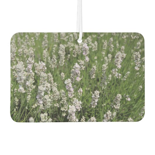 Désodorisant Pour Voiture Melissa Lavender (Devant)