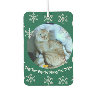 Désodorisant Pour Voiture Meowy et lumineux, Photo de chat orange, Noël
