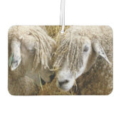 DÉSODORISANT POUR VOITURE MOQUETTE (Dos)