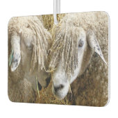 DÉSODORISANT POUR VOITURE MOQUETTE (Gauche)