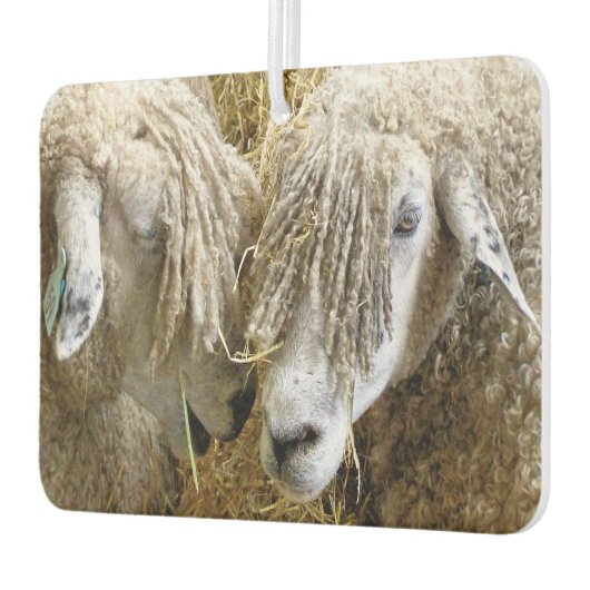 DÉSODORISANT POUR VOITURE MOQUETTE (Gauche)