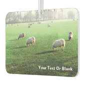 Désodorisant Pour Voiture Moutons du palais de Blenheim (Gauche)