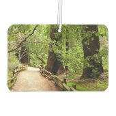 Désodorisant Pour Voiture Muir Woods Path II Nature Photography (Dos)