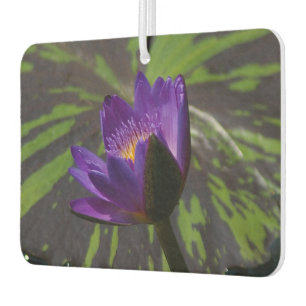 Désodorisant Pour Voiture Nénuphar de Lotus pourpre
