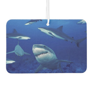 Désodorisant Pour Voiture Nettoyeur d'air des requins