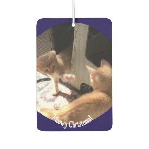 Désodorisant Pour Voiture Noël , Photo de chats ,