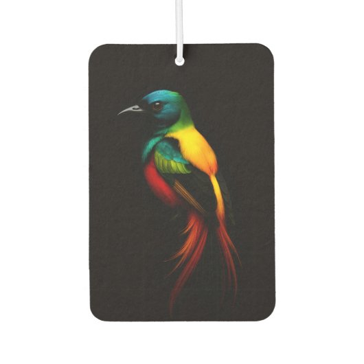 Désodorisant Pour Voiture Noir 4 Luxe Voiture Fraîcheurs d'air, Rainbow Bird (Devant)