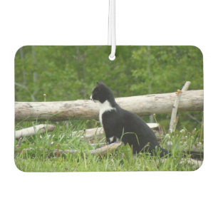Désodorisant Pour Voiture Noir et blanc Grange Kitten