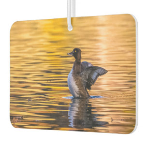 Désodorisant Pour Voiture Oeil d'or sur un lac d'or