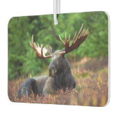 Désodorisant Pour Voiture Oie (Gauche)