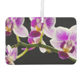 Désodorisant Pour Voiture Orchidée blanche et violette (Dos)