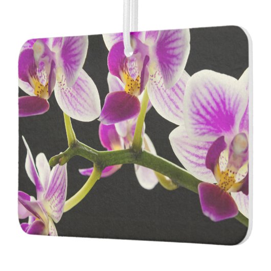 Désodorisant Pour Voiture Orchidée blanche et violette (Gauche)