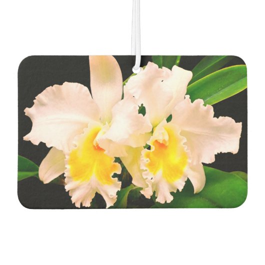 Désodorisant Pour Voiture Orchidées délicates (Devant)