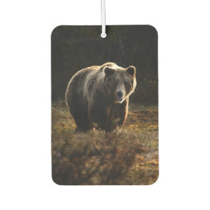 Désodorisant Pour Voiture Ours