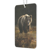 Désodorisant Pour Voiture Ours (Gauche)