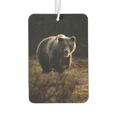 Désodorisant Pour Voiture Ours (Dos)