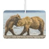 Désodorisant Pour Voiture Ours brun côtier (Devant)