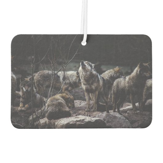 Désodorisant Pour Voiture Pack Wolf (Dos)
