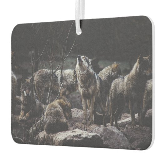 Désodorisant Pour Voiture Pack Wolf (Gauche)