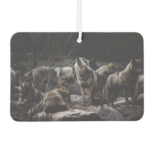 Désodorisant Pour Voiture Pack Wolf (Devant)
