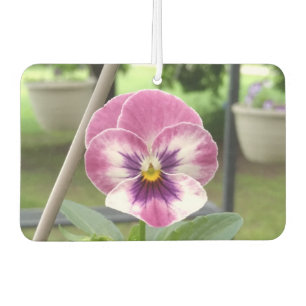 Désodorisant Pour Voiture Pansy Car Air Freshener (Rose & Purple)