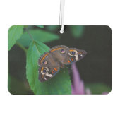 Désodorisant Pour Voiture Papillon tacheté (Dos)