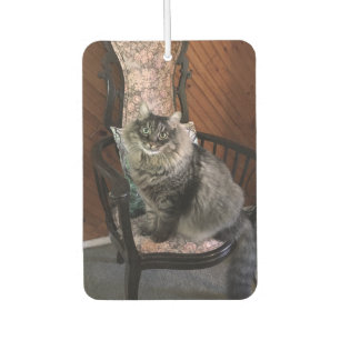 Désodorisant Pour Voiture Parfum d'ambiance du Roi Cat Kimber Car