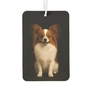 Désodorisant Pour Voiture Parfumeurs de voiture noirs 4 Luxe Papillon raffin
