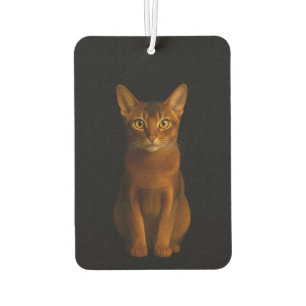 Désodorisant Pour Voiture Parfums de voiture Black 4 Luxe, Beauté Abyssinien