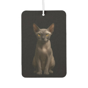Désodorisant Pour Voiture Parfums de voiture Black 4 Luxe, Chat Sphynx