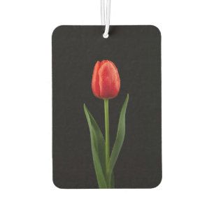 Désodorisant Pour Voiture Parfums de voiture Black 4 Luxe Tulipe Rouge Rubis