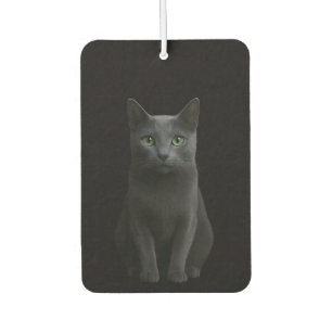 Désodorisant Pour Voiture Parfums de voiture noirs 4 Luxe, Chat bleu russe