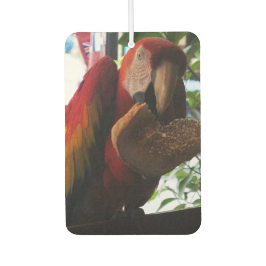 Désodorisant Pour Voiture Parrot Macaw Scarlet Manger Toast (Devant)