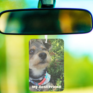 Désodorisant Pour Voiture Paws in our Hearts Photo Pet Memorial, Custom