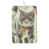 Désodorisant Pour Voiture Peinture de chat (Devant)