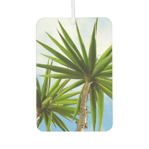 Désodorisant Pour Voiture Peinture Effet Photo de Feuilles de Palmier Yucca