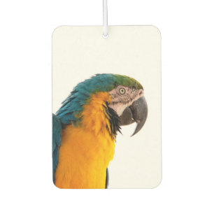 Désodorisant Pour Voiture Perroquet