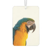 Désodorisant Pour Voiture Perroquet (Dos)