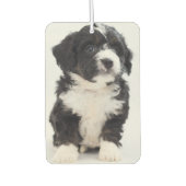 Désodorisant Pour Voiture Personnalisé Photo Chien Chien Chien Chien Animaux (Devant)